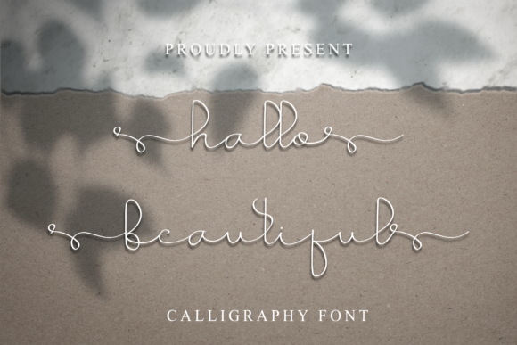 Elevate Your Brand with Hallo Beautiful Typeface
