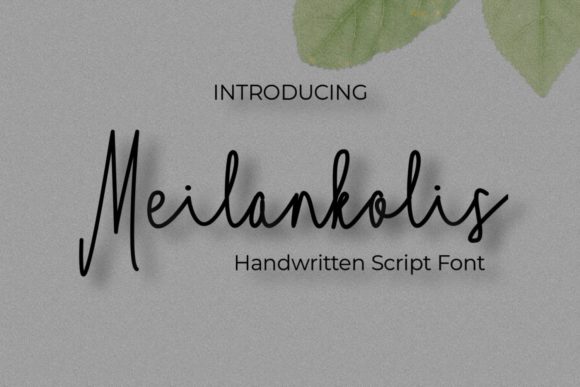 Meilankolis Font for Elegant Business Branding