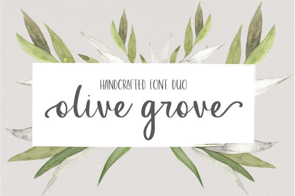 Olive Grove: A Premium Duo Font for Modern Branding