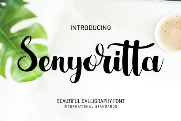 Senyoritta Font for High-Impact Campaign Design