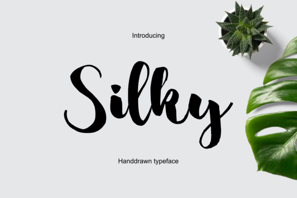 Silky Font Review: Elegant Script for Designers